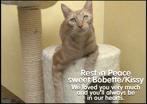Lovely Bobette RIP copy.jpg